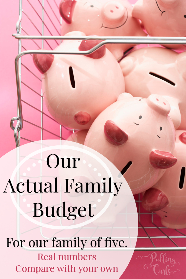 Family Household Budget
