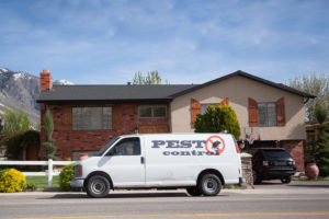 professional pest control services