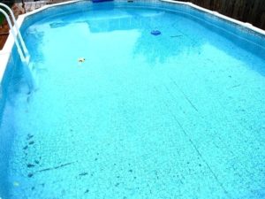 what causes algae in pool