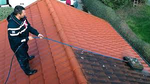 Cleaning the roof
