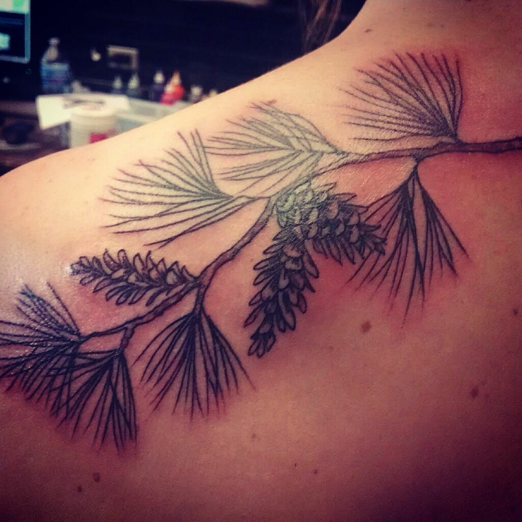 Tattoo of a pine tree branch