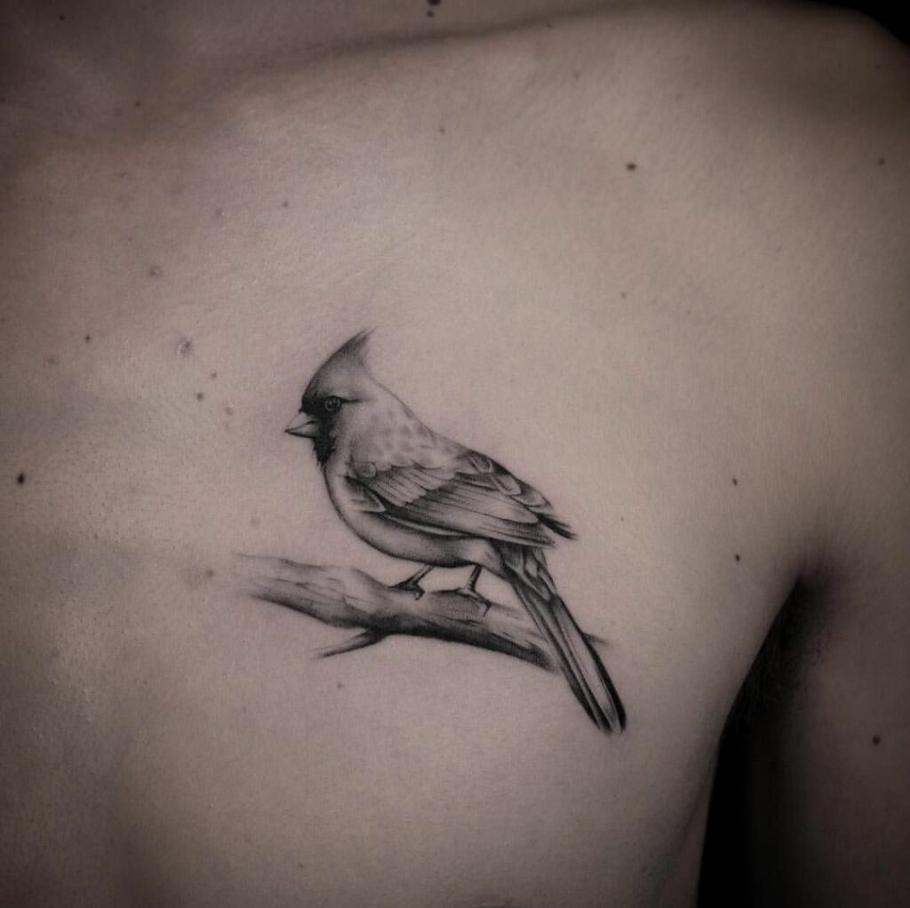 Cardinal Tattoo Black And White