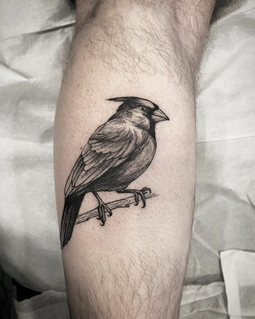 Black Cardinal Tattoo