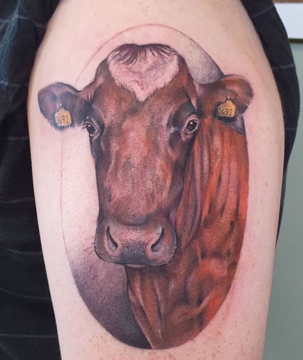 Cow Tattoos That Look Real