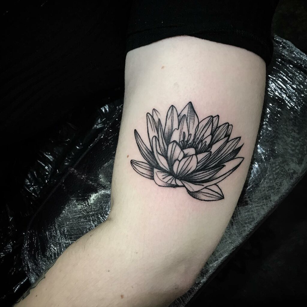 Tattoo of a Blooming Water Lily on the Forearm