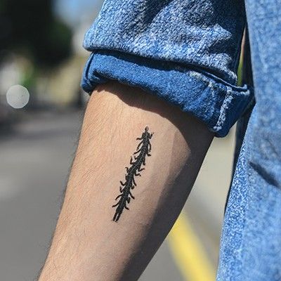 Small Centipede Tattoo