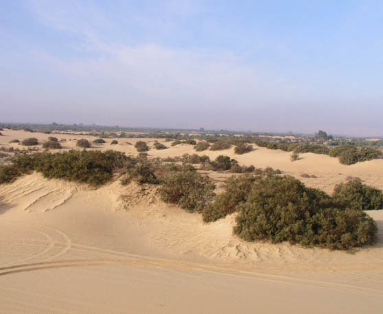 Guban Desert