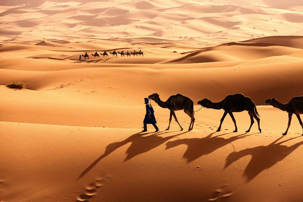  Sahara Desert