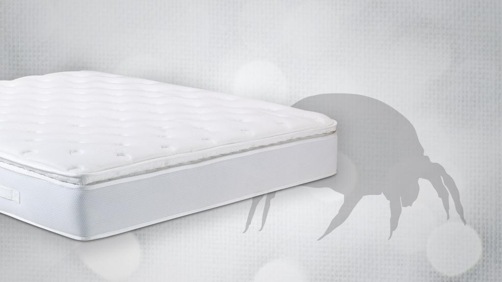 mattress cover for allergies