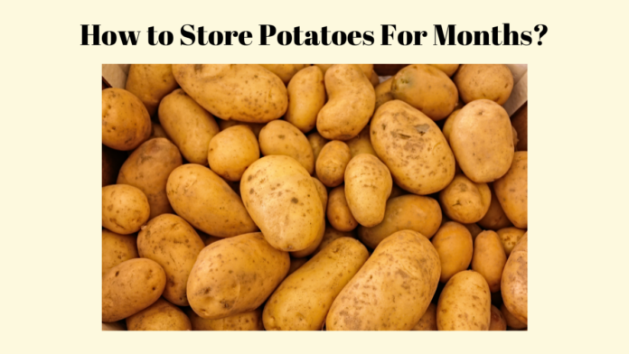 how to store potatoes