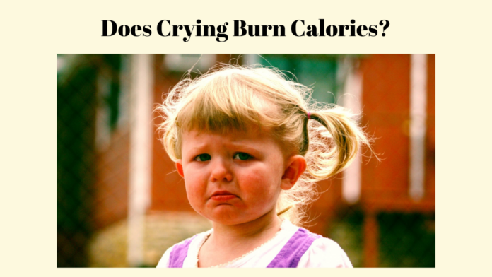 does crying burn calories