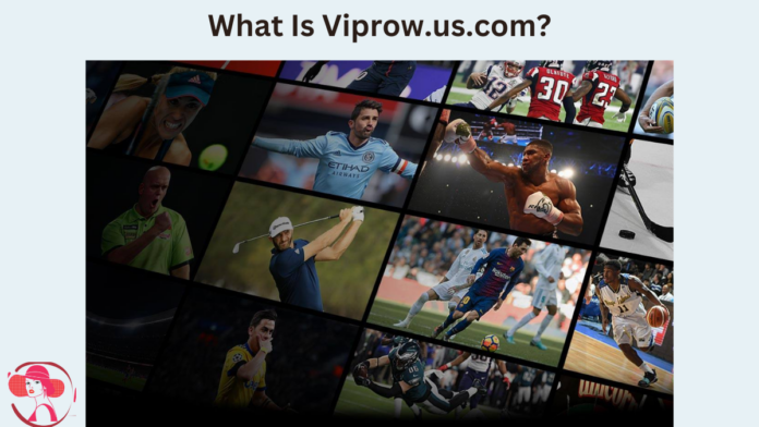 viprow.com.us