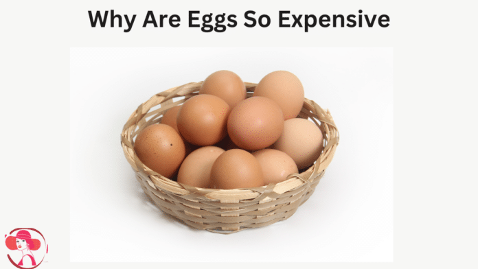 why are eggs so expensive